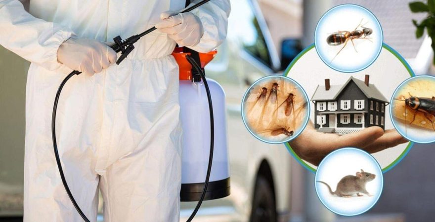 Bahçelievler Böcek İlaçlama