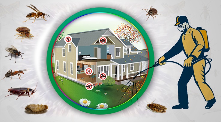 Bahçelievler Böcek İlaçlama