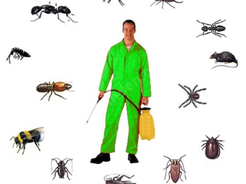 Bahçelievler Böcek İlaçlama